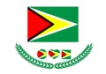 Guyana Flag vector illustration. Guyana Flag. Royalty Free Stock Photo