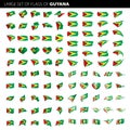 Guyana flag, vector illustration Royalty Free Stock Photo