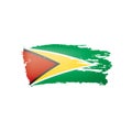 Guyana flag, vector illustration on a white background. Royalty Free Stock Photo