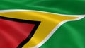 Guyanese flag in the wind