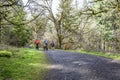 Guys on bicycles and a pedestrian with dogs walking along a forest path