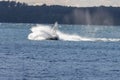 Guys on a Personal watercraft driving in the sea