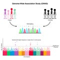 GWAS Genome-Wide Association Study