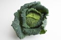 A fresh green avoy cabbage