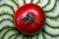 Fresh salad vegetables tomatoes and cucumbers Royalty Free Stock Photo