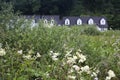 A row cottages behind a wild meadow. Royalty Free Stock Photo