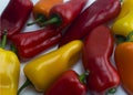 A very spicy collection of chilli Royalty Free Stock Photo