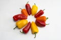 A very spicy wheel of chilli Royalty Free Stock Photo