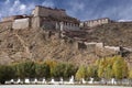 Gyantse Fort in Tibet Royalty Free Stock Photo