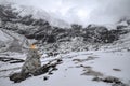 Gyantse Karola Glacier in Gyantse County in Tibet Royalty Free Stock Photo