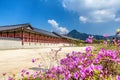 Gyeongbokgung Palace in Seoul, South Korea. At spring Royalty Free Stock Photo