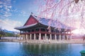 Gyeongbokgung palace in spring, South Korea. Royalty Free Stock Photo