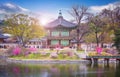 Gyeongbokgung palace in spring South Korea. Royalty Free Stock Photo