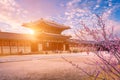 Gyeongbokgung palace in spring, South Korea. Royalty Free Stock Photo