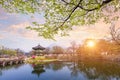 Gyeongbokgung palace in spring, South Korea. Royalty Free Stock Photo