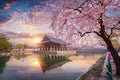 Gyeongbokgung palace in sunset with cherry blossom tree in spring time in Seoul, South Korea Royalty Free Stock Photo