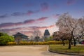 Gyeongbokgung palace in sunset with cherry blossom tree in spring time in Seoul, South Korea Royalty Free Stock Photo