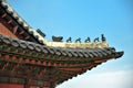 Gyeongbokgung roof