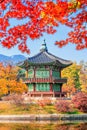 Gyeongbukgung and Maple tree in autumn in korea Royalty Free Stock Photo