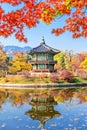 Gyeongbukgung and Maple tree in autumn in korea