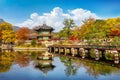 Gyeongbukgung and Maple tree in autumn in Seoul, South Korea Royalty Free Stock Photo