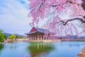 Gyeongbukgung Palace in South Korea.