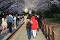 Gyeonghwa Station cherry blossoms in Korea