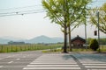 Gyeongju countryside road at spring in Korea Royalty Free Stock Photo