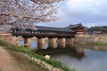 Gyeongju Woljeong Bridge with cherry blossoms Royalty Free Stock Photo