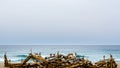 Gyeongpo Beach, Gangneung, Gangwon province, South Korea - Wooden carving of people and livestocks like horse and cattle. Royalty Free Stock Photo