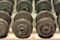 Gym Barbells Lined Up on a Rack Royalty Free Stock Photo