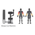 Gym biceps curl machine