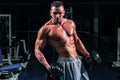 Gym. Bodybuilding. Training and workouts. Dumbbells exercises. Male torso with six packs. Sportsman with naked body.