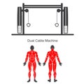 Gym dual cable machine