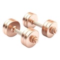 Gym Dumbles on Transparent Background - Ai Generated Royalty Free Stock Photo