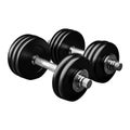 Gym Dumbles on Transparent Background - Ai Generated Royalty Free Stock Photo