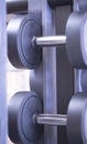 Gym exercise dumbell free weights