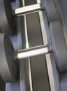 Gym exercise dumbell free weights