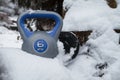 Gym kettlebell weight in a deep snow.