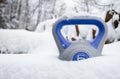 Gym kettlebell weight in a deep snow.