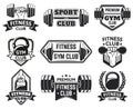 Gym labels. Sport, bodybuilding, fitness equipment symbols, vintage fitness badges silhouette vector illustration set