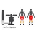 Gym leg curl machine