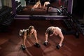 Gym man and woman push-up strength pushup with dumbbell in a fitness workout. Royalty Free Stock Photo