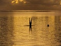 Gym movement in the ocean water at sunset in Reunion Island