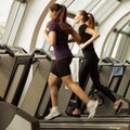 Gym shot - young women running on machines, treadmill Royalty Free Stock Photo