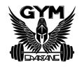 Gym sign with Spartan helmet and wings.