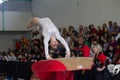 Gymnast Girl Jump Flight Vault