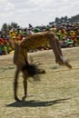 Gymnast Performs a Sumasult at the World Aids