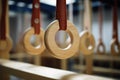 Gymnastic rings hanging in a gym