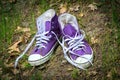 Gymshoes in green grass